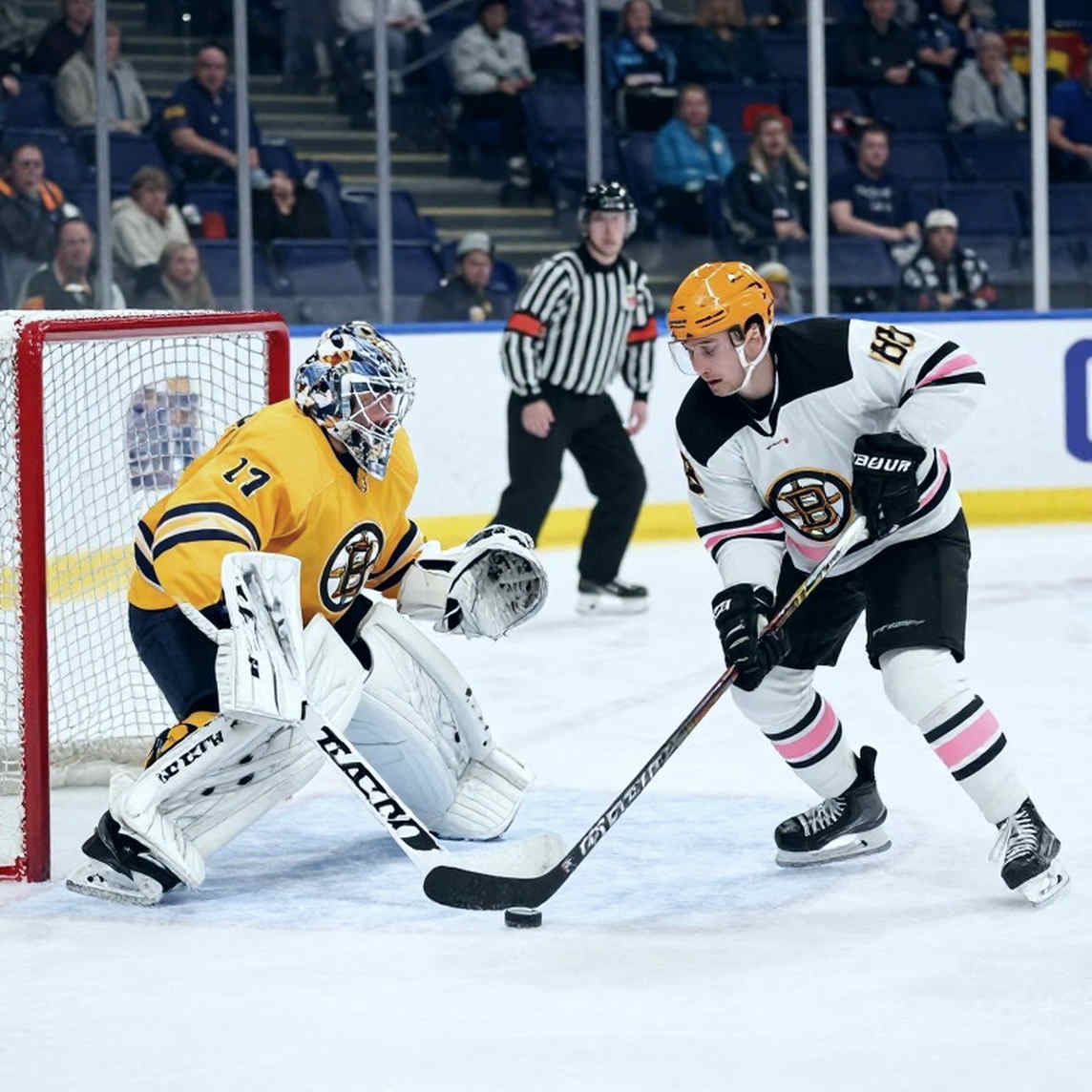 রুলবুকে শব্দটি ছিল না, সাজা ছিল আজীবন: PUBG Asia Stars 2026-এর শাসন-সংকট