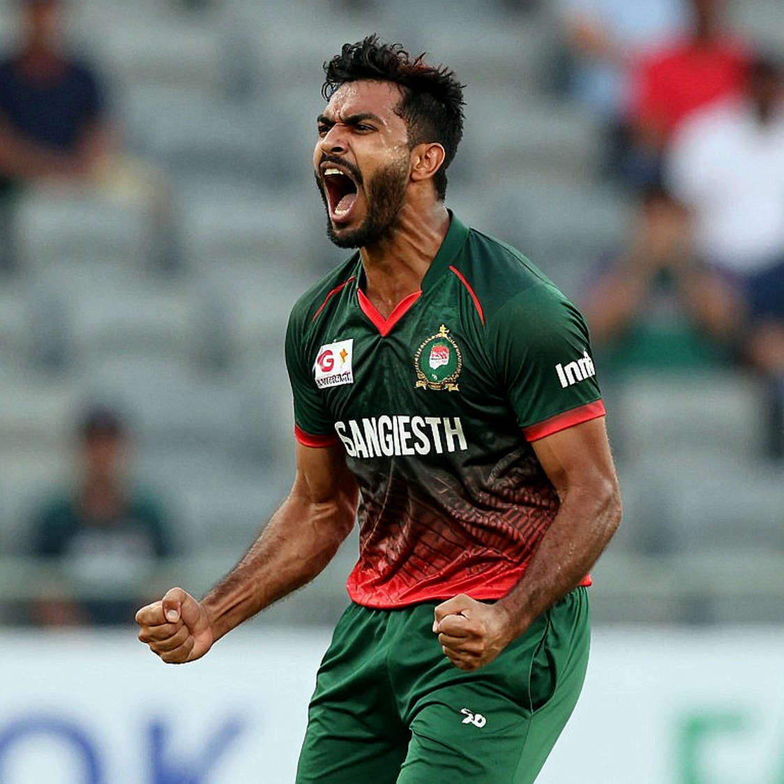ফাঁকা ঘরটাই সত্য: ক্রিকেটের তথ্যশৃঙ্খল আর একটি খালি বিশ্লেষণ-শিটের পাঠ